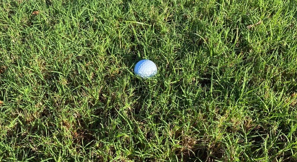 Vajda in first, Jags in second, heading into second day of Bash in the Boro