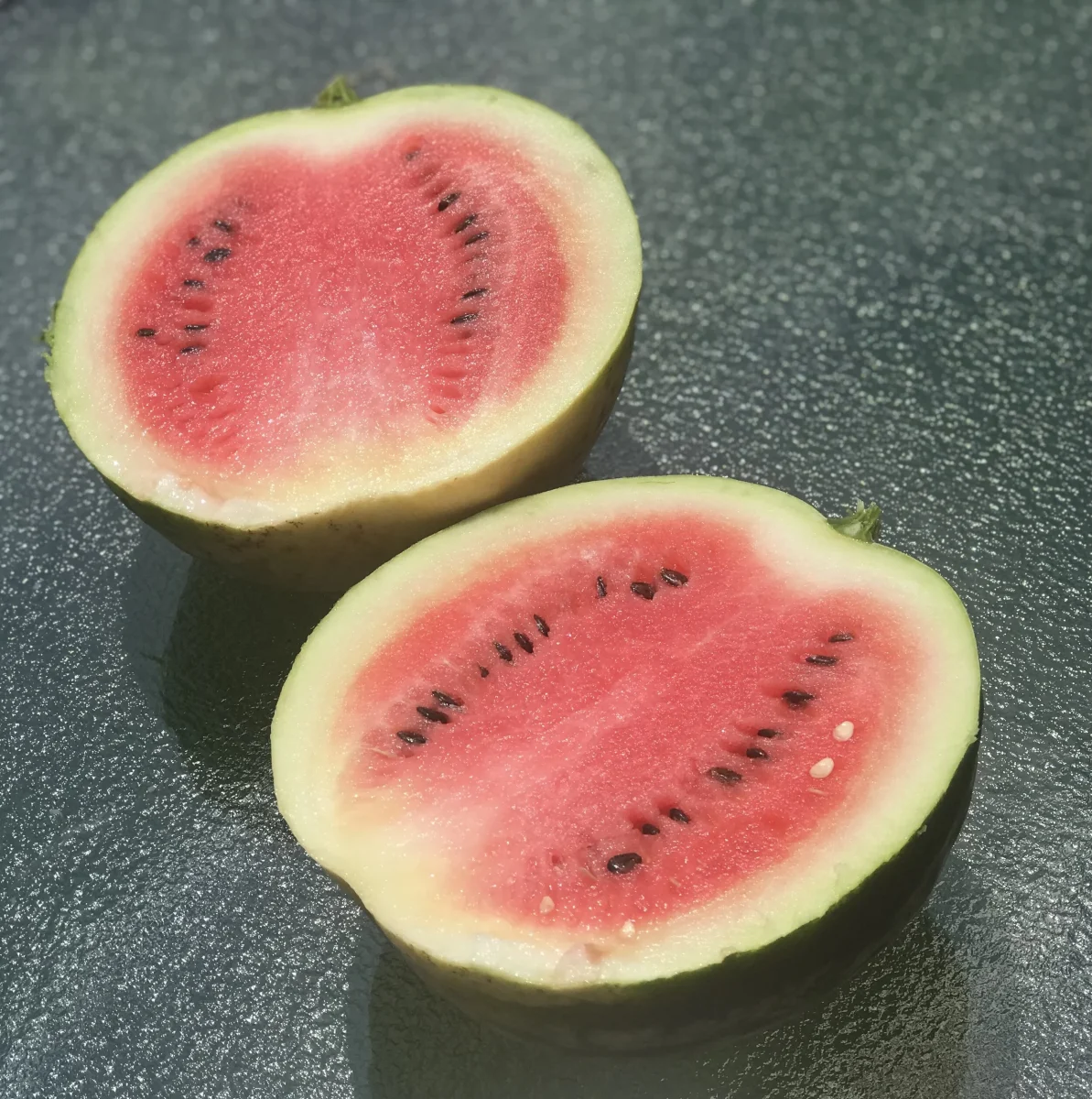 From flowers to fruit: A look at a summer staple—the watermelon