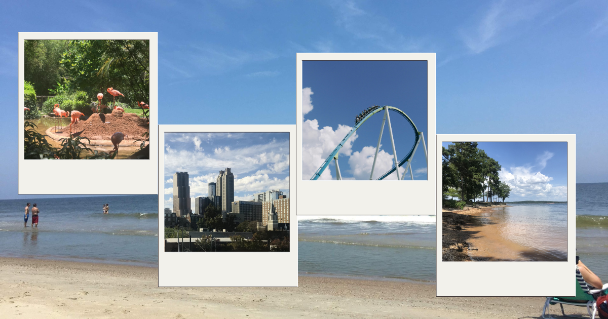 Top five day trip ideas