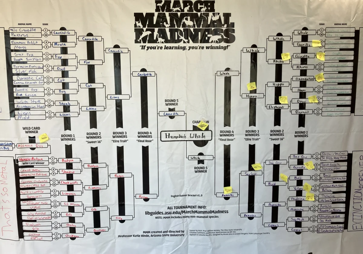 March Mammal Madness: From classroom experiment to national phenomenon