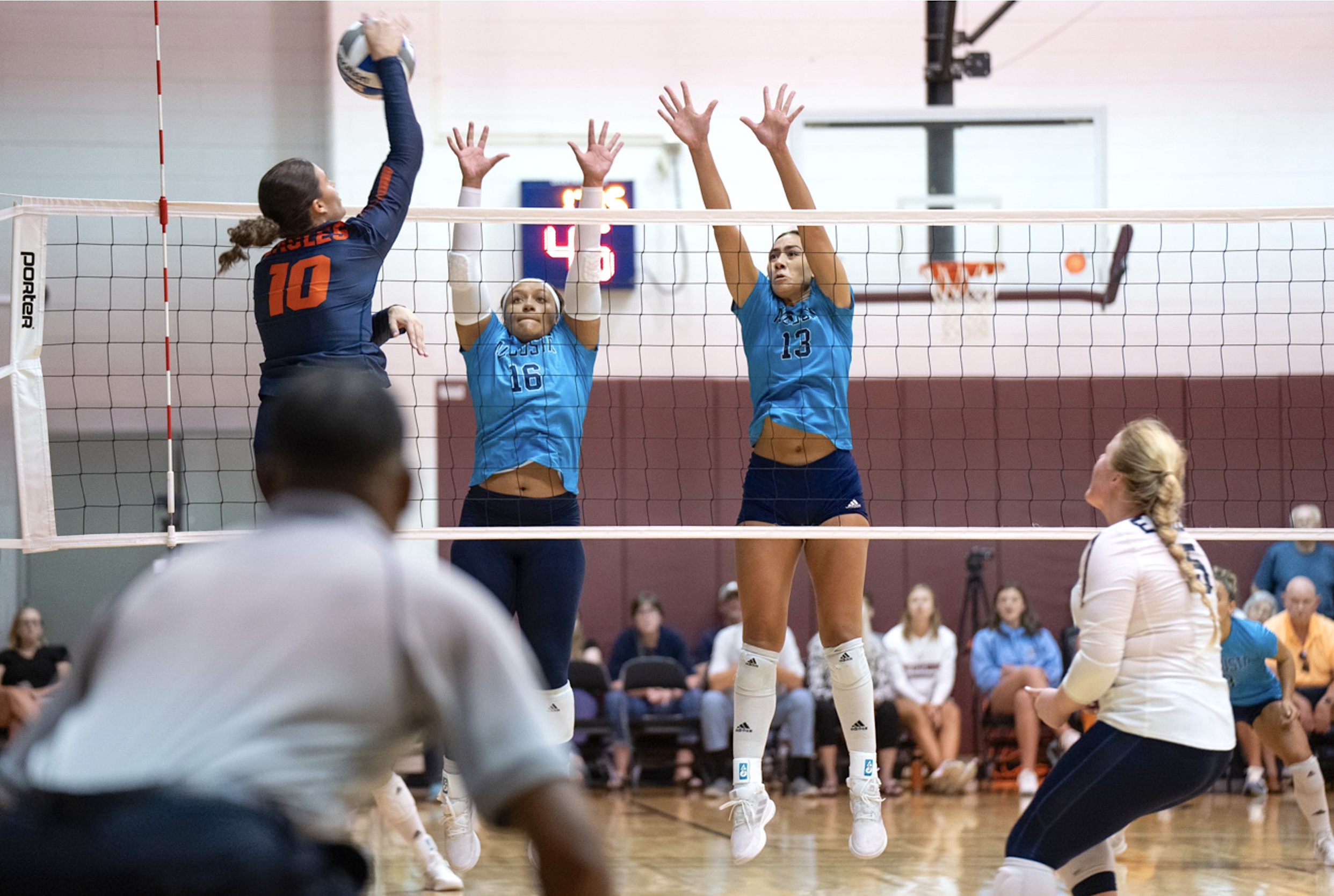  AU’s Jazmyn Wheeler (16) and Jada Suguturaga (13) get in position to block an attempted kill from Carson-Newman’s Taylor Adams (10). At the top of the page, Janvier Buggs (21) and Sophia Kruczko (8) celebrate after Kruczko scores one of her eight kills for the Jags during the match against Carson-Newman. Also celebrating, from left to right, are Suguturaga, Wheeler and Rylie Harris (3). (photos by Rachel Carman) 