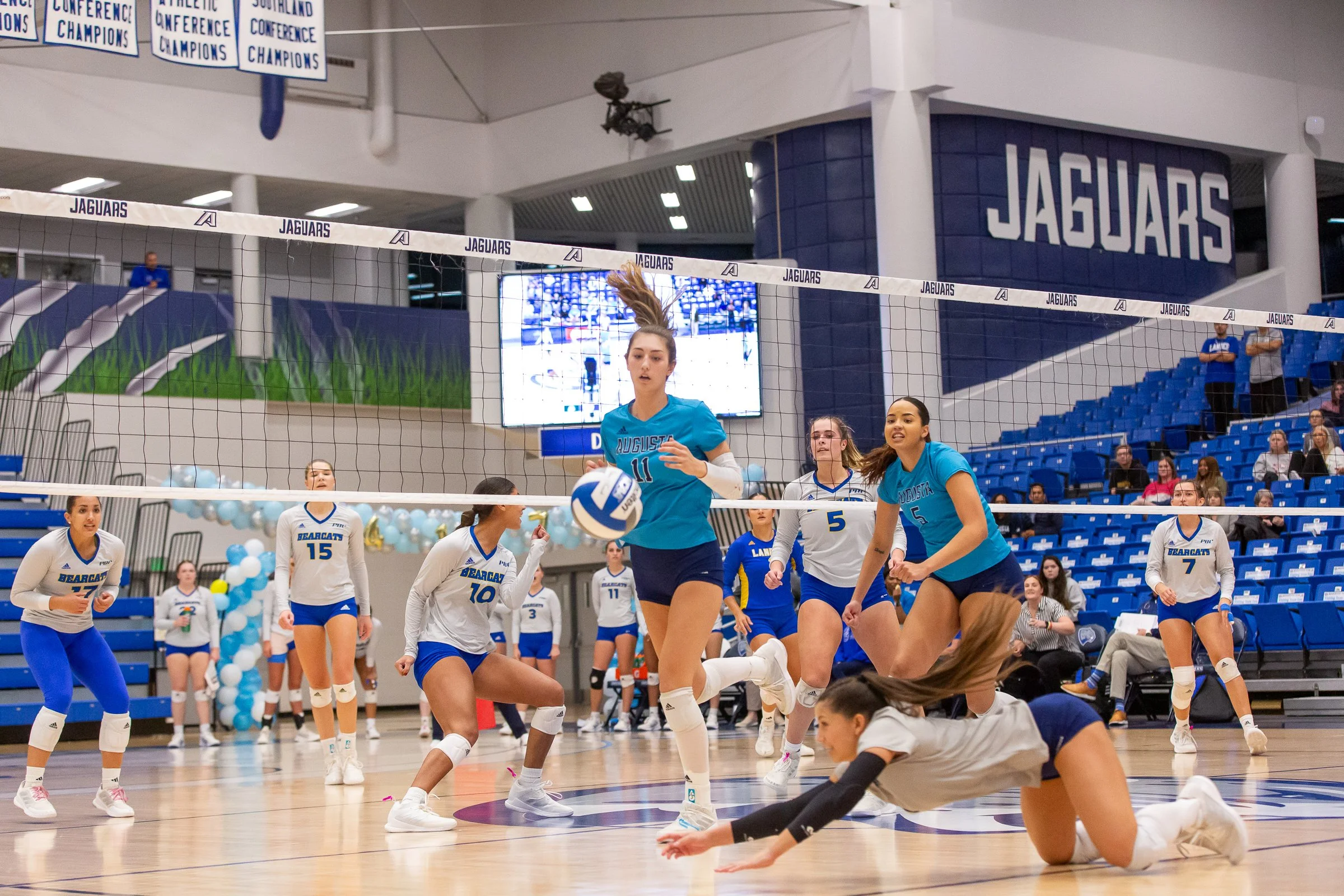  Dariana Luna stretches for yet another dig for the Jaguars. Luna, the senior from Caracas, Venezuela, had 39 digs on Senior Night. (photo by Paula Toole, AU Athletics) 